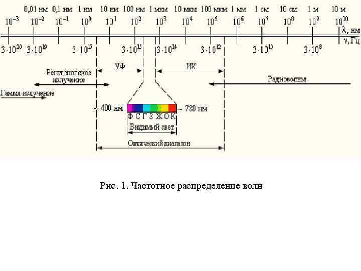 Рис. 1. Частотное распределение волн 