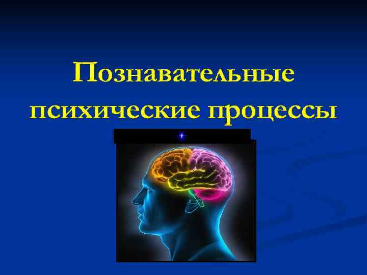   Познавательные психические процессы 