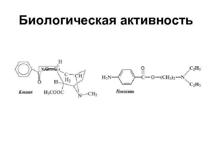 Биологическая активность Биологическая активность
