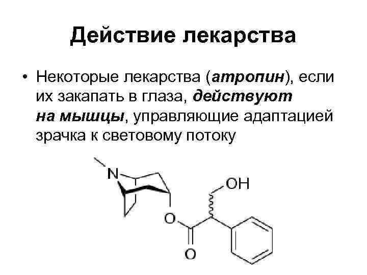 Действие лекарства • Некоторые лекарства (атропин), если их закапать в глаза, действуют Действие лекарства • Некоторые лекарства (атропин), если их закапать в глаза, действуют