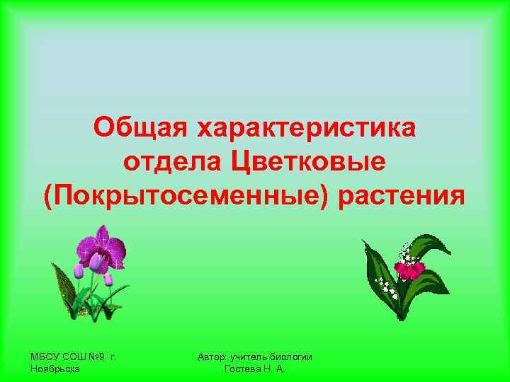  Общая характеристика  отдела Цветковые  (Покрытосеменные) растения МБОУ СОШ № 9 г.