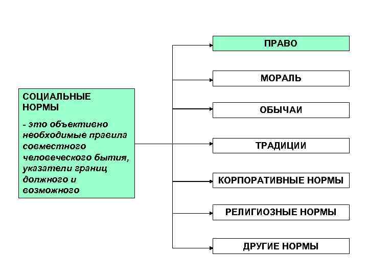 Принципы экологической морали схема