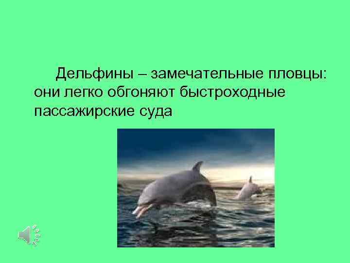   Дельфины – замечательные пловцы: они легко обгоняют быстроходные пассажирские суда 