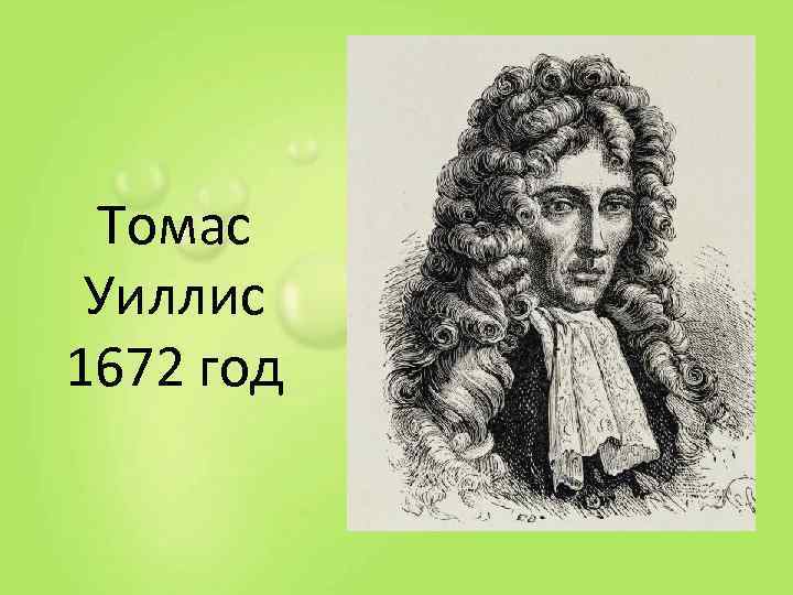  Томас Уиллис 1672 год 