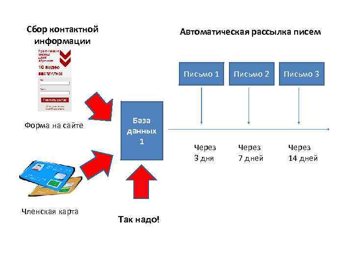  Сбор контактной    Автоматическая рассылка писем  информации   