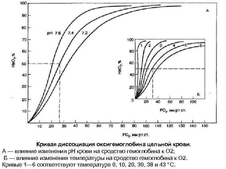 Диссоциация оксигемоглобина