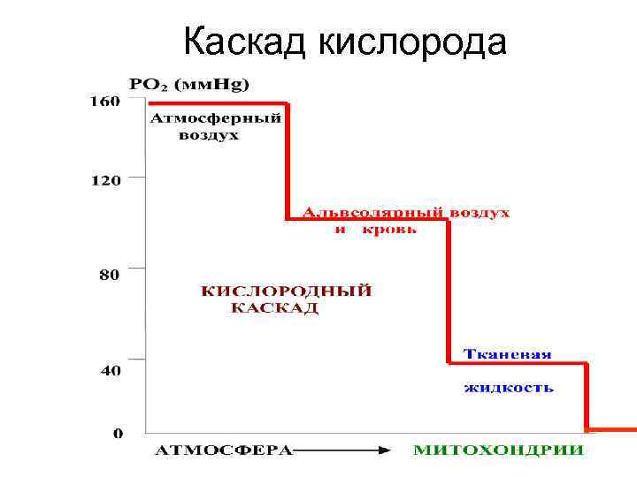 Каскад кислорода 