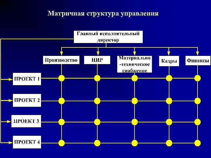 Матричная организационная структура проекта