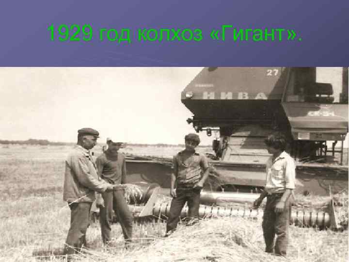 1929 год колхоз «Гигант» . 