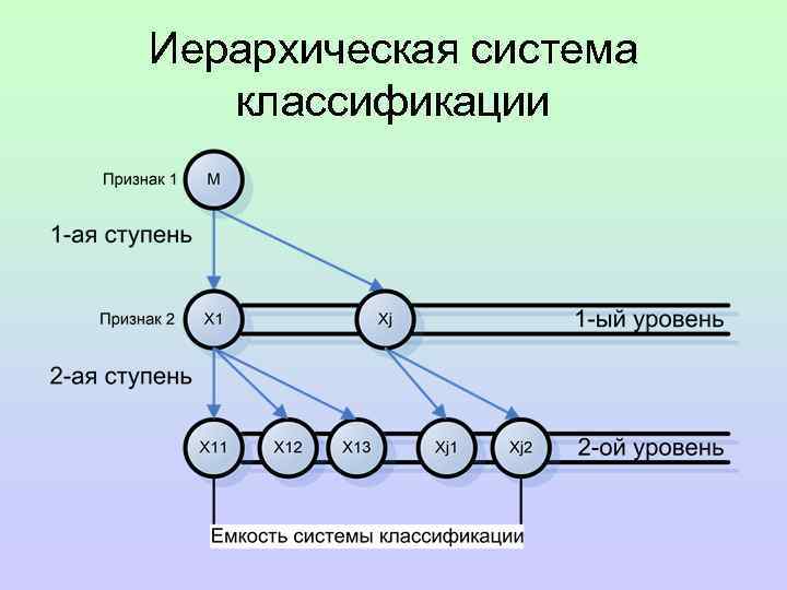 Иерархическая система  классификации 