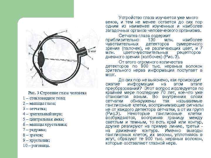     Устройство глаза изучается уже много     