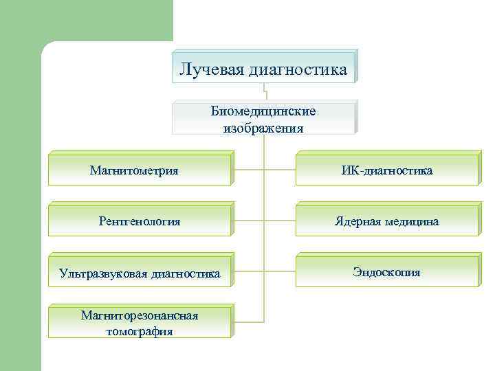     Лучевая диагностика      Биомедицинские 