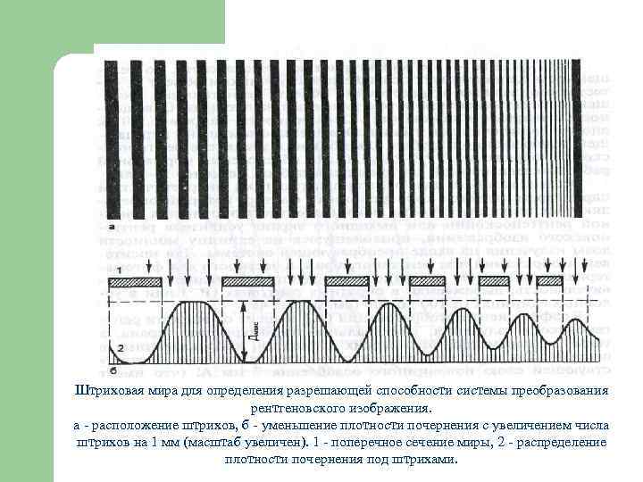 Пластина покрытая люминофором для преобразования рентгеновского изображения 5 букв сканворд