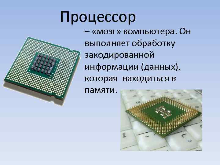 Процессор  – «мозг» компьютера. Он  выполняет обработку  закодированной  информации (данных),