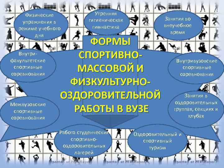  Физические    Утренняя      гигиеническая  