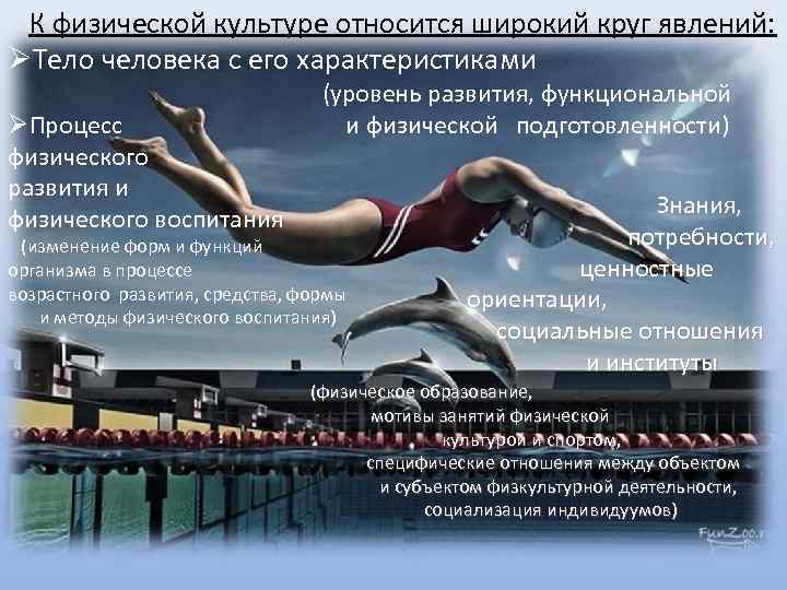  К физической культуре относится широкий круг явлений:  Тело человека с его характеристиками