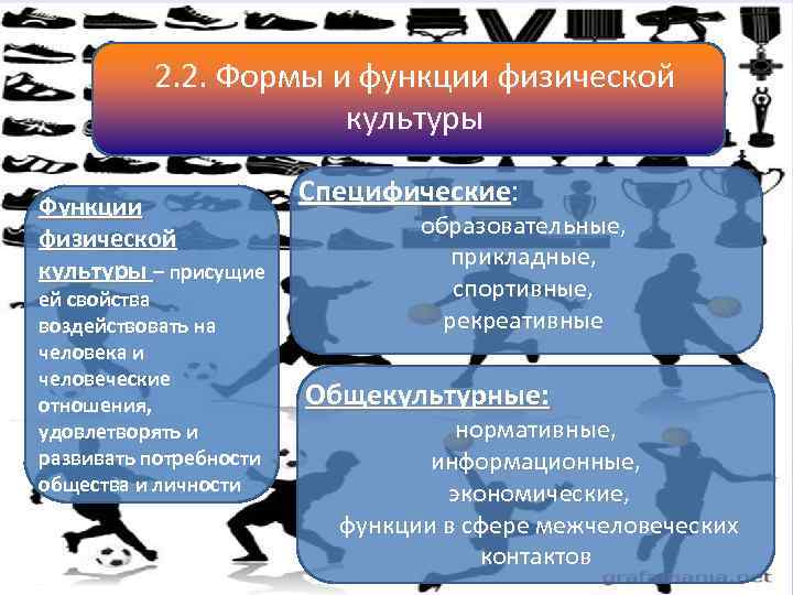    2. 2. Формы и функции физической    культуры Функции
