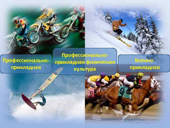     Профессионально- прикладная физическая Военно-  прикладная   культура 