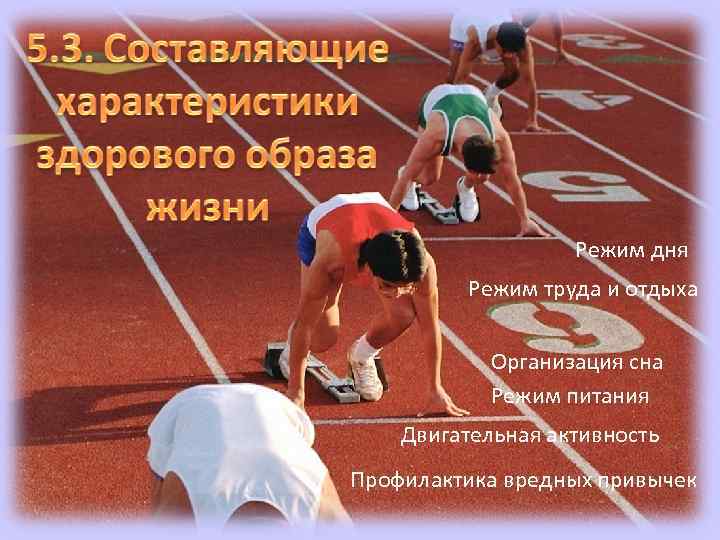     Режим дня  Режим труда и отдыха   