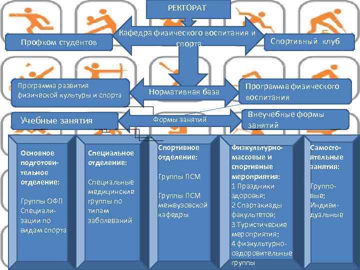 Физическое воспитание стало обязательным предметом в учебных планах всех вузов в