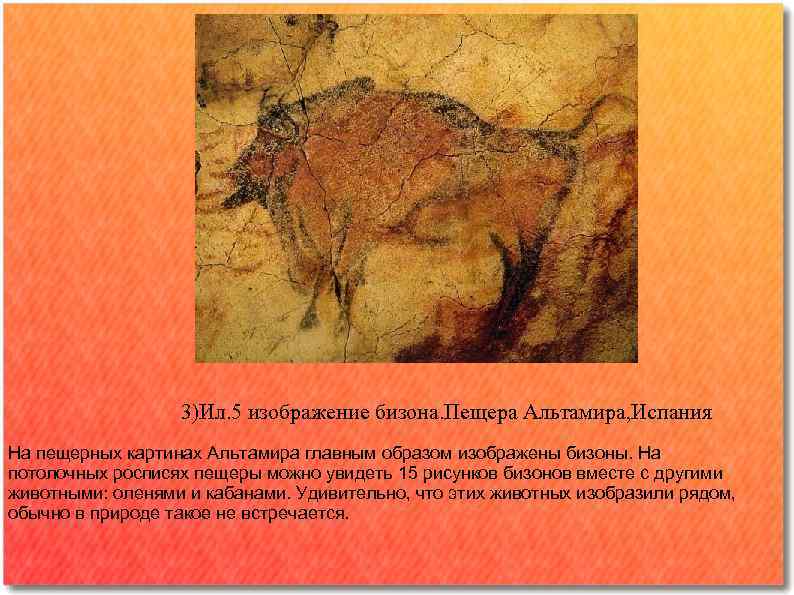    3)Ил. 5 изображение бизона. Пещера Альтамира, Испания На пещерных картинах Альтамира