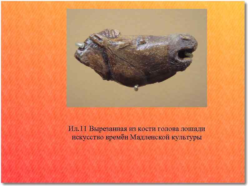 Ил. 11 Вырезанная из кости голова лошади искусство времён Мадленской культуры 