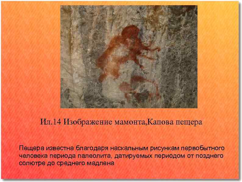  Ил. 14 Изображение мамонта, Капова пещера Пещера известна благодаря наскальным рисункам первобытного человека