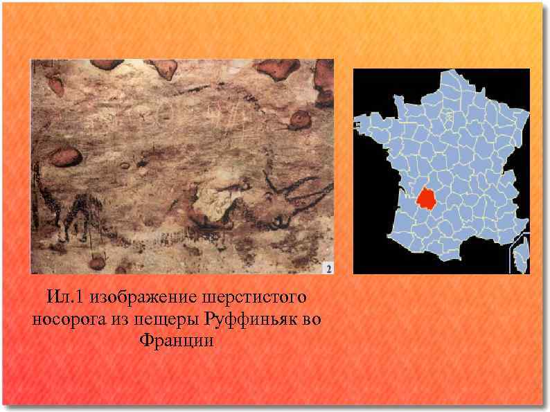  Ил. 1 изображение шерстистого носорога из пещеры Руффиньяк во   Франции 