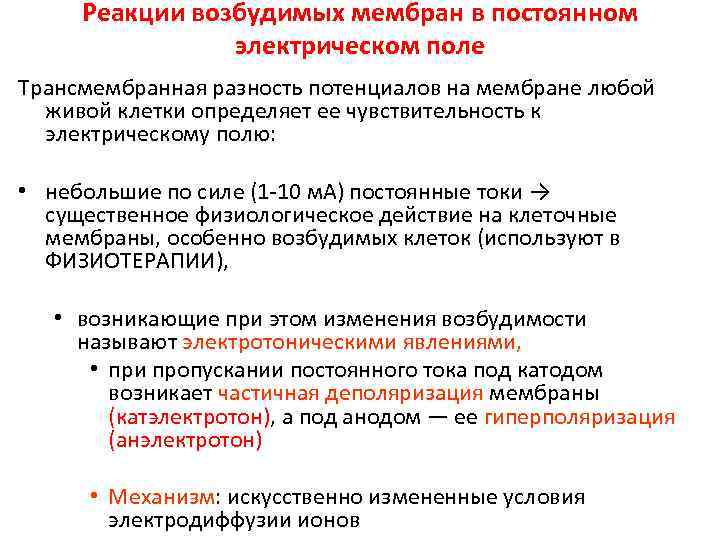  Реакции возбудимых мембран в постоянном   электрическом поле Трансмембранная разность потенциалов на
