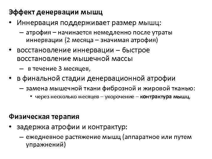 Эффект денервации мышц • Иннервация поддерживает размер мышц:  – атрофия – начинается немедленно