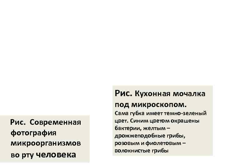      Рис. Кухонная мочалка      под