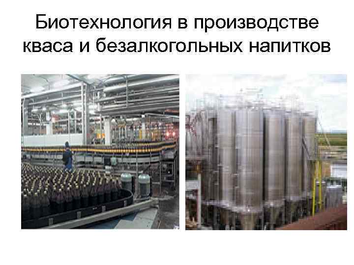  Биотехнология в производстве кваса и безалкогольных напитков 