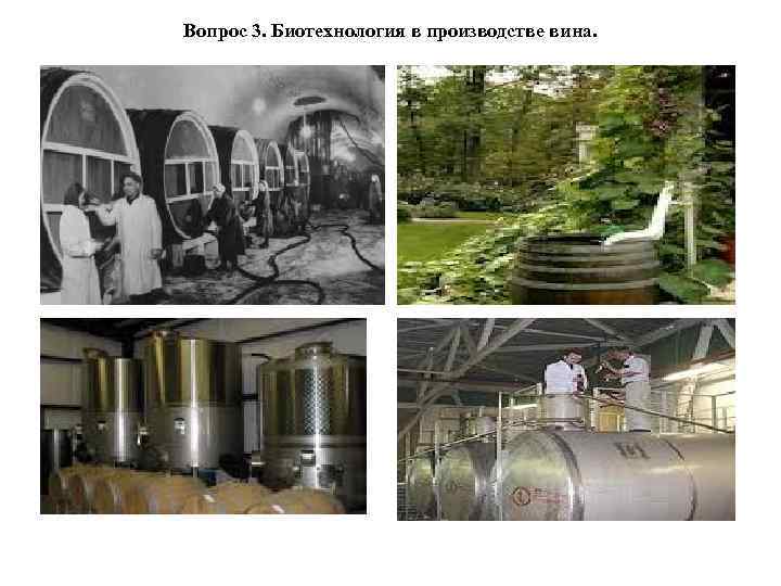 Вопрос 3. Биотехнология в производстве вина. 