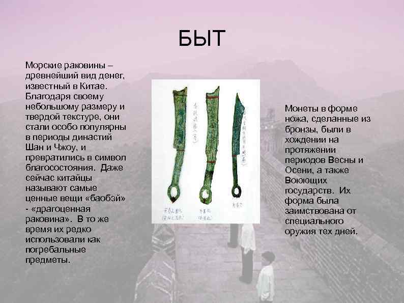     БЫТ Морские раковины – древнейший вид денег, известный в Китае.