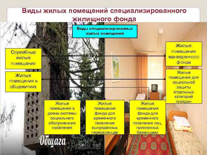   Виды жилых помещений специализированного   жилищного фонда    