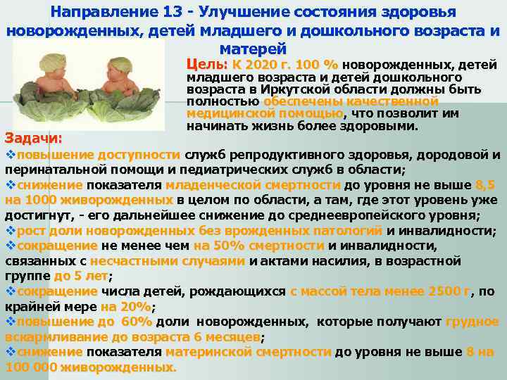  Направление 13 - Улучшение состояния здоровья новорожденных, детей младшего и дошкольного возраста и
