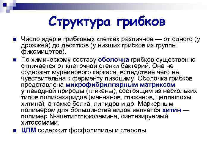 Структура грибков n Число ядер в грибковых клетках различное — от Структура грибков n Число ядер в грибковых клетках различное — от