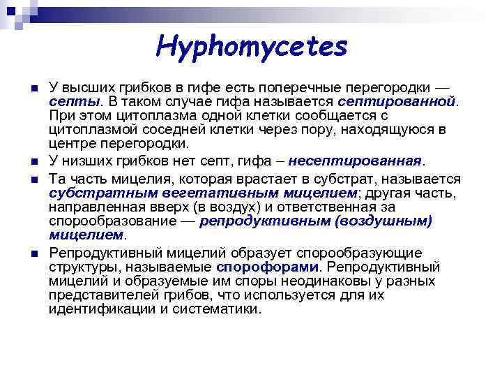 Hyphomycetes n У высших грибков в гифе есть поперечные перегородки Hyphomycetes n У высших грибков в гифе есть поперечные перегородки