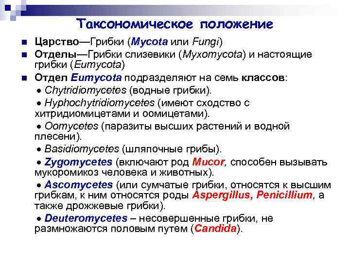 Таксономическое положение n Царство—Грибки (Mycota или Fungi) n Отделы—Грибки слизевики Таксономическое положение n Царство—Грибки (Mycota или Fungi) n Отделы—Грибки слизевики