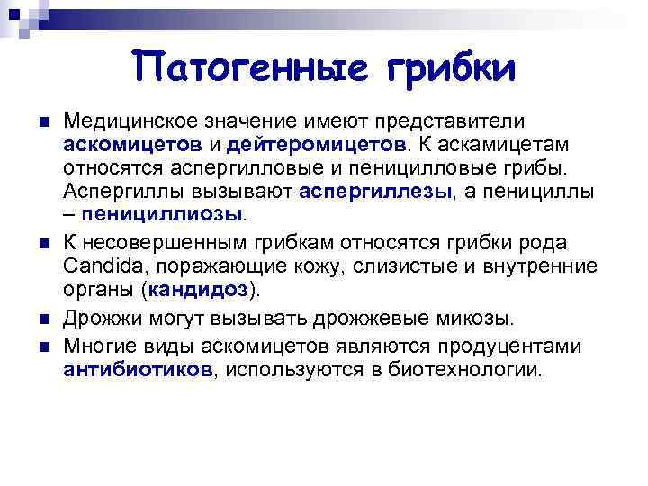 Патогенные грибки n Медицинское значение имеют представители аскомицетов и дейтеромицетов. Патогенные грибки n Медицинское значение имеют представители аскомицетов и дейтеромицетов.