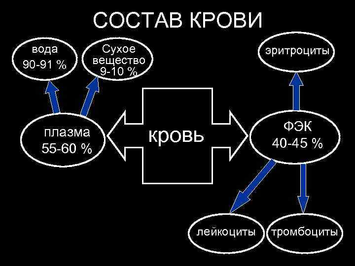    СОСТАВ КРОВИ вода  Сухое    эритроциты 90 -91