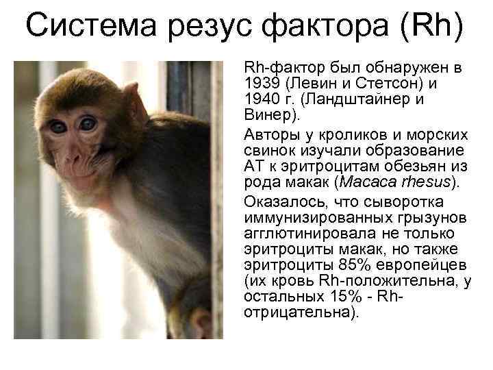 Система резус фактора (Rh) Rh-фактор был обнаружен в 1939 (Левин Система резус фактора (Rh) Rh-фактор был обнаружен в 1939 (Левин