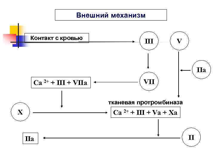     Внешний механизм  Контакт с кровью    III