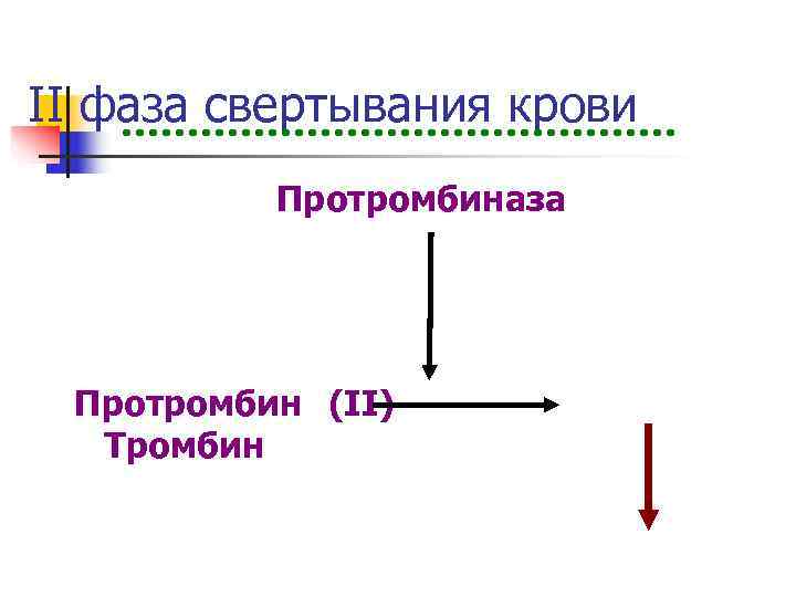 II фаза свертывания крови  Протромбиназа Протромбин (II)  Тромбин 
