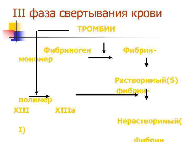 III фаза свертывания крови   ТРОМБИН  Фибриноген  Фибрин- мономер  