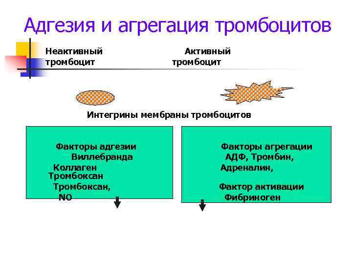 Адгезия в медицине. Механизмы адгезии и агрегации тромбоцитов. Механизм адгезии тромбоцитов. Факторы тромбоцитов регулирующие адгезию и агрегацию тромбоцитов. Адгезия и механизм агрегации.