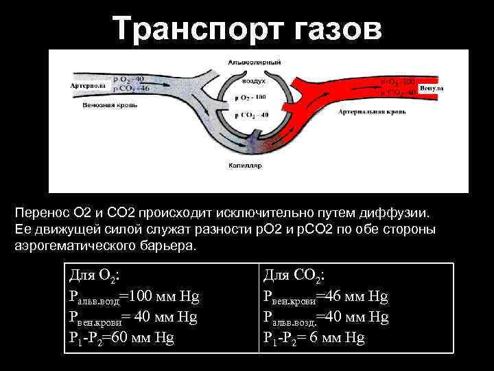 Перенос газов кровью