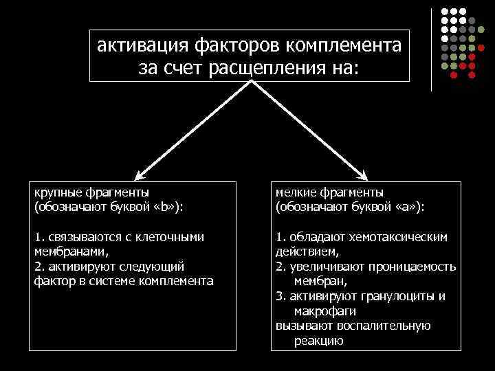    активация факторов комплемента    за счет расщепления на: крупные