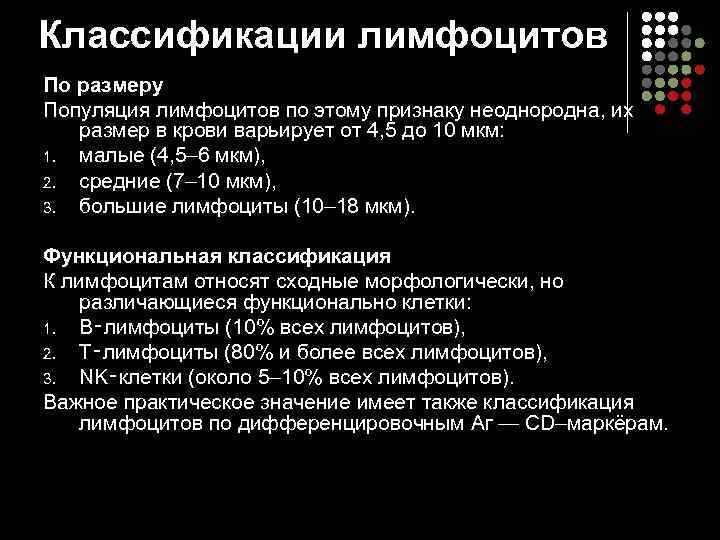 Классификации лимфоцитов По размеру Популяция лимфоцитов по этому признаку неоднородна, их размер в крови