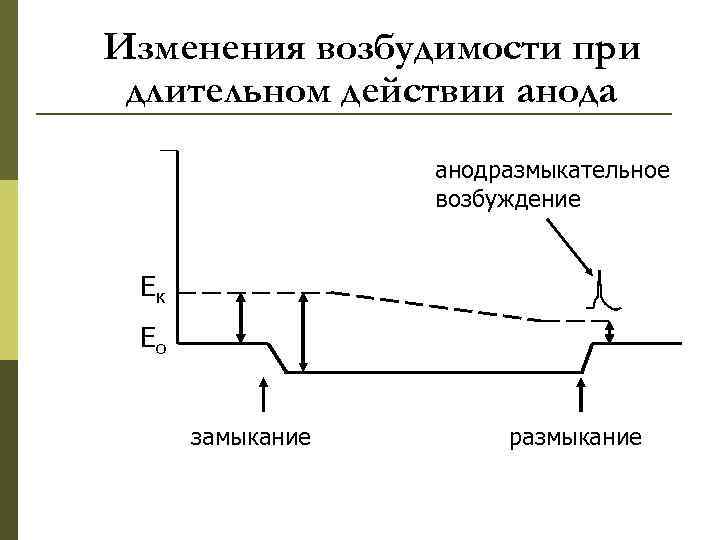 Изменения возбудимости при длительном действии анода    анодразмыкательное    возбуждение